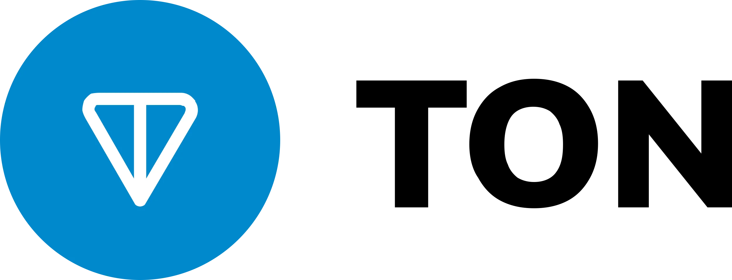 TON logo